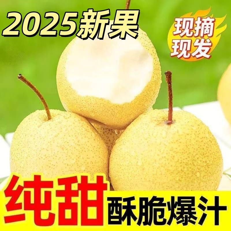 【爆甜】正宗山西冰糖贡梨酥梨密梨产地新鲜现摘脆甜多汁梨整箱包邮