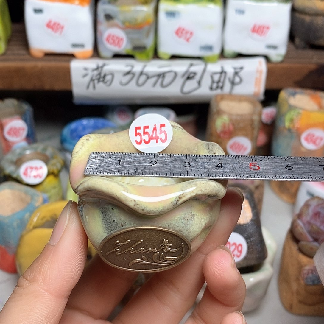 红陶拍5送一个小