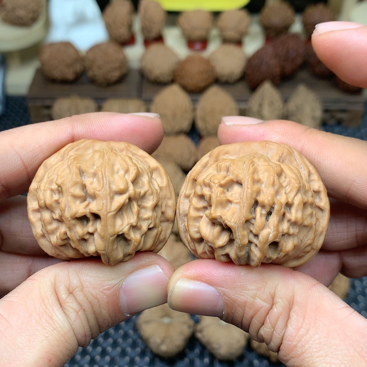 【闪购商品】文玩核桃把件全品天地狮子头41.7文玩核桃