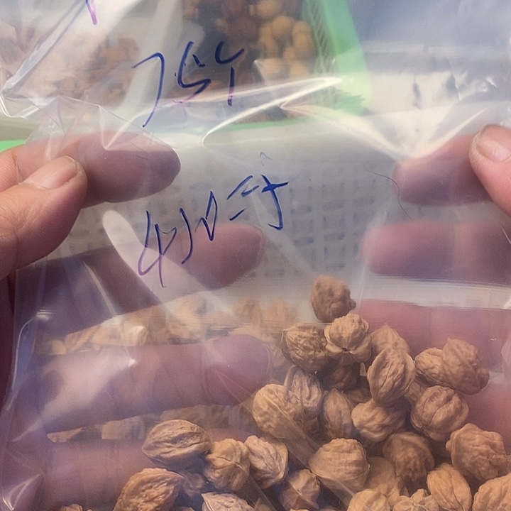 吊坠桃核嵩山蛤蟆头
