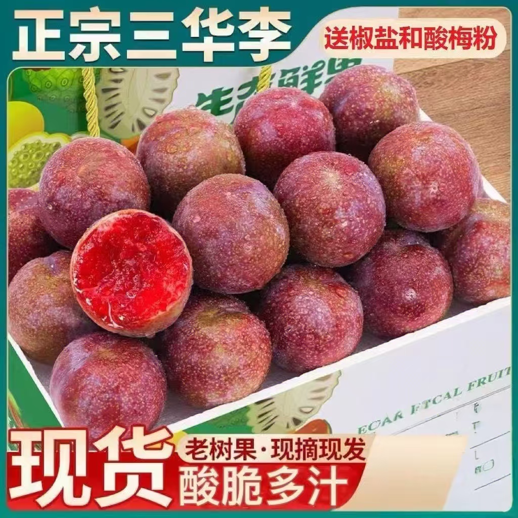 现摘现发正宗红心三华李当季新鲜水果酸甜可口适合孕妇包邮