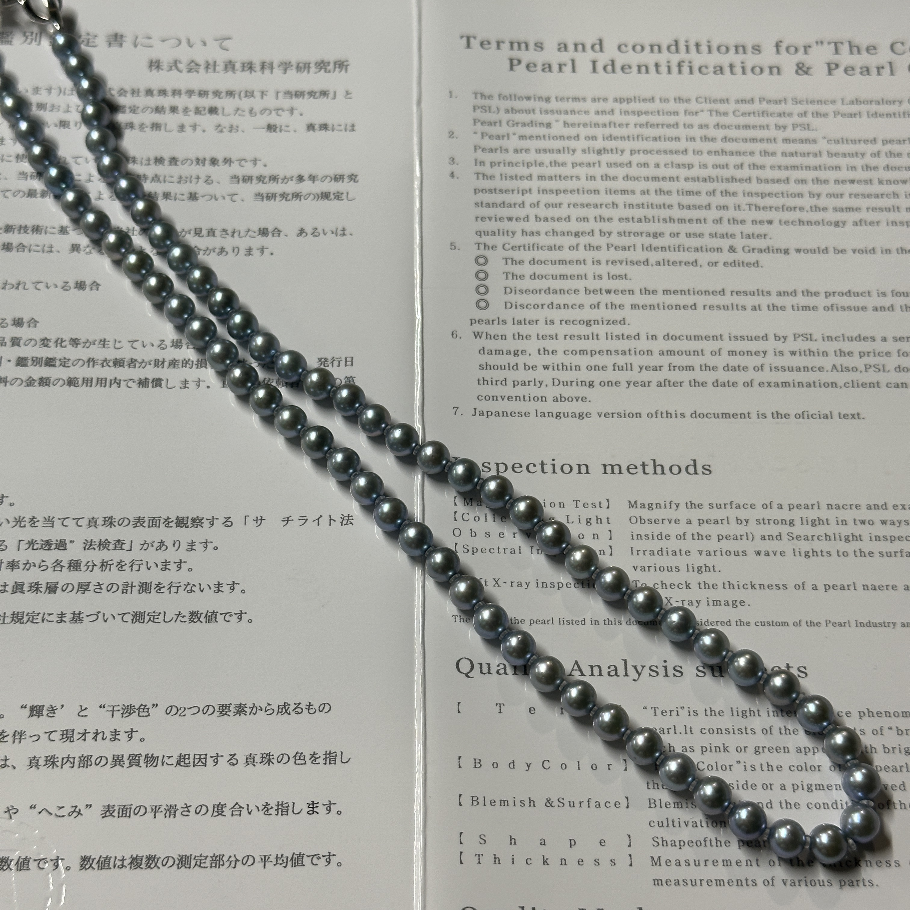 珍珠项链 日本大证Blue Rose 5-6mm项链 ZB251263