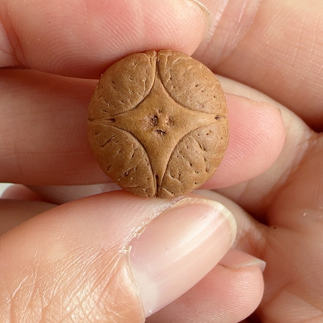 手串凤眼菩提17mm麒麟三通90@2422