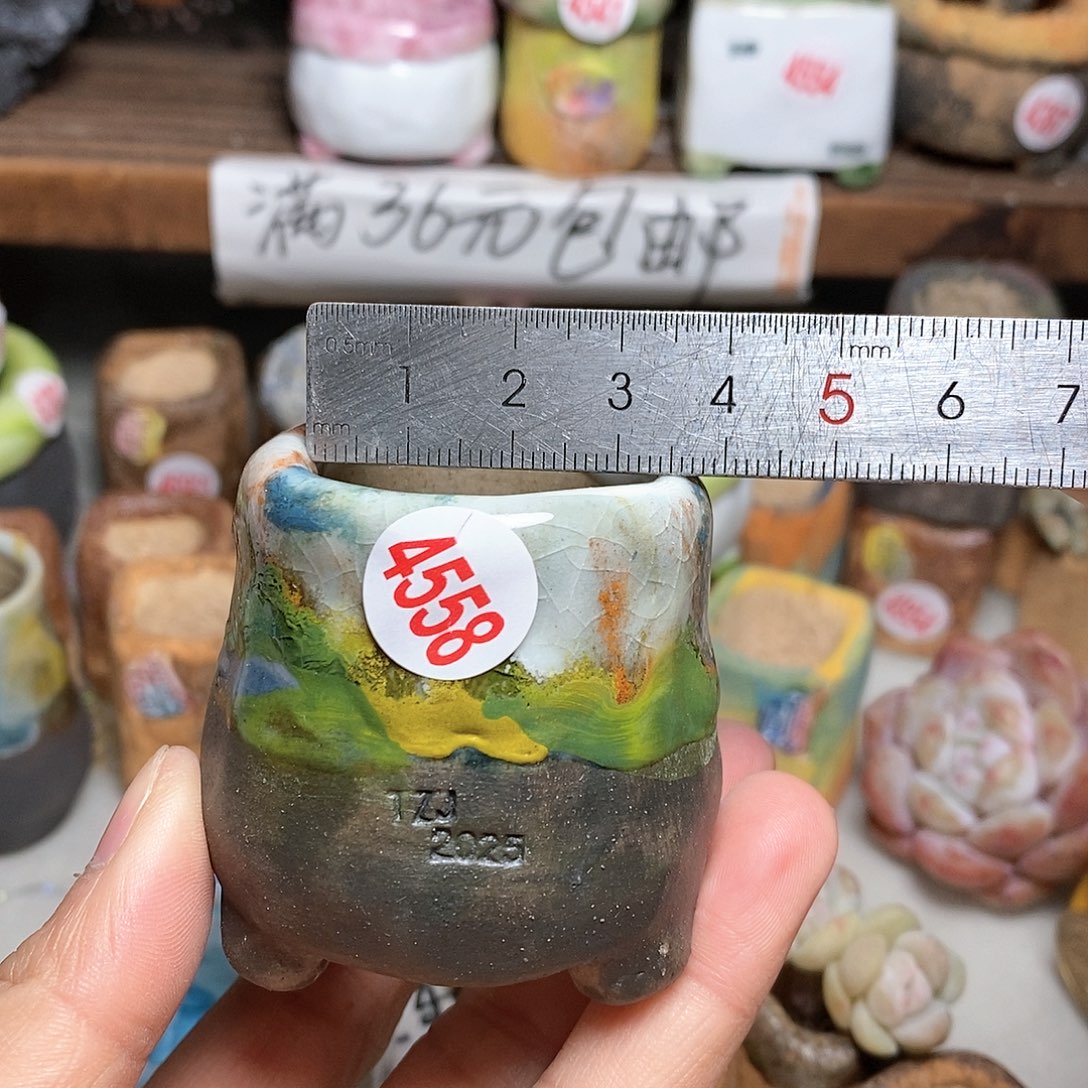 红陶拍5送一个小