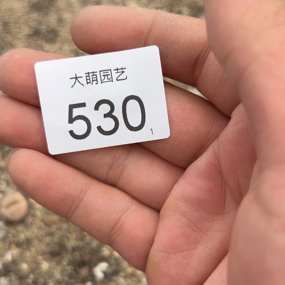 0000530清框脱土发无售后