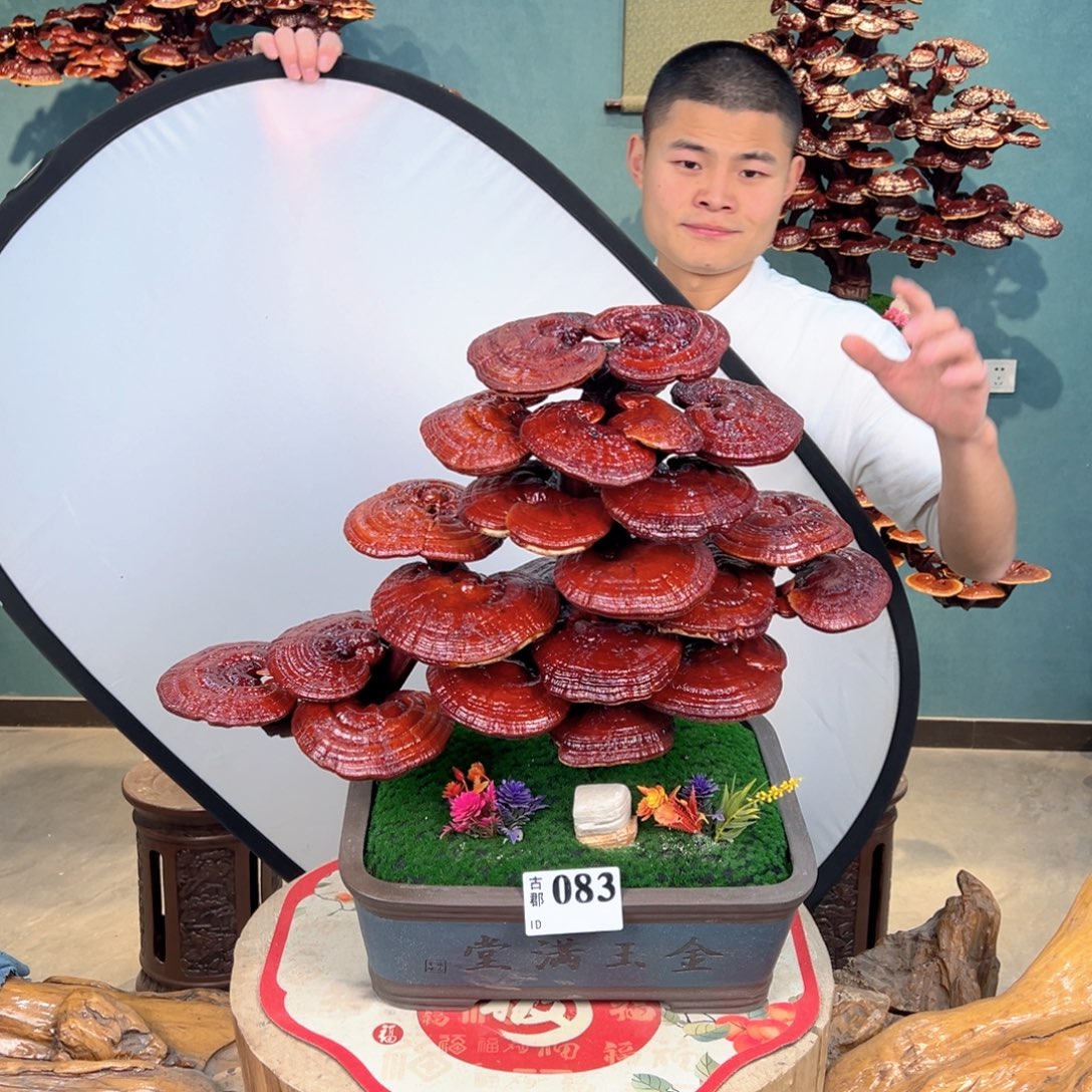 无花朵88999888888