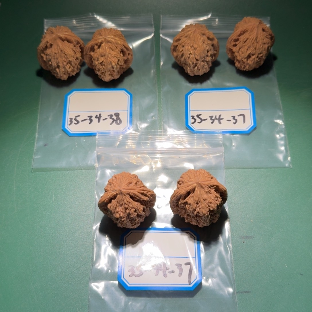 吊坠文玩核桃南疆黄金甲4