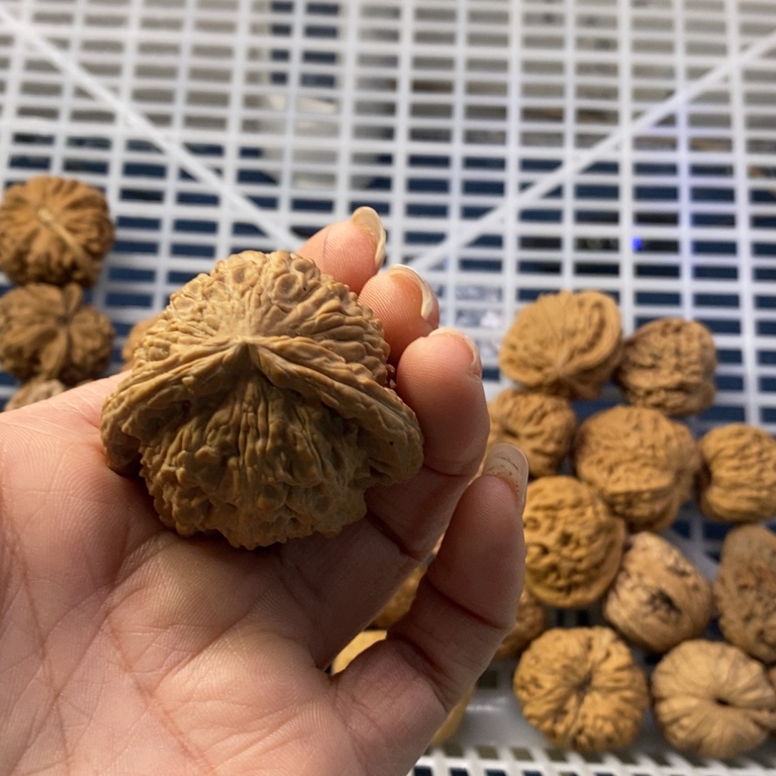 菲***忆吊坠文玩核桃白狮子