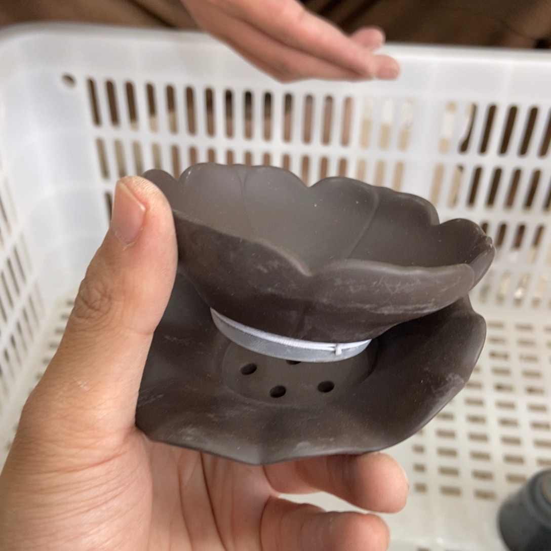 杯直播链接直播链接