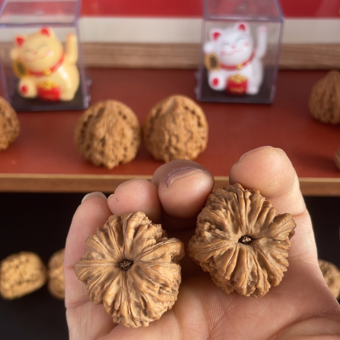 -***下南疆啊啊啊啊啊啊