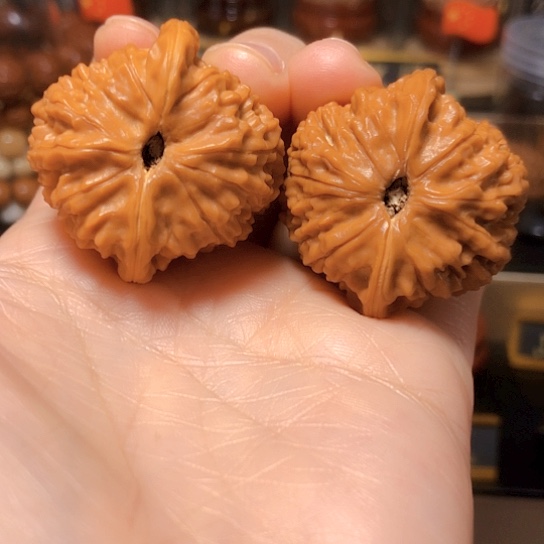 隔**头精品蛇王：一抹红37尺
