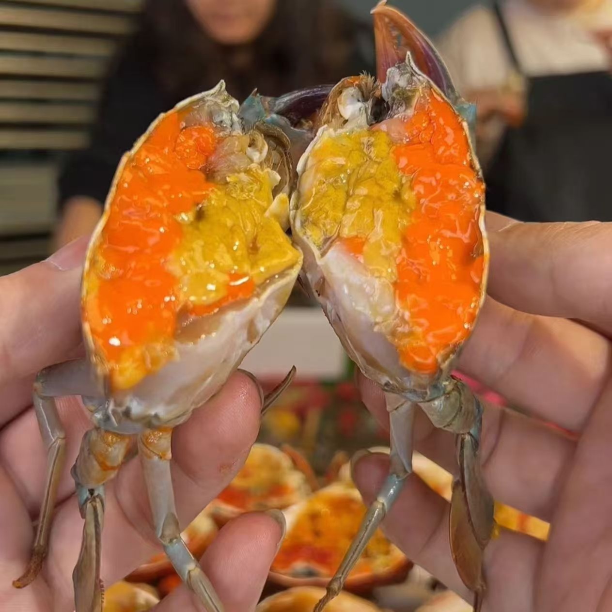 【拍3送2】青蟹·红膏母蟹 包活包有膏有肉（不要放冰箱保鲜）ZZ