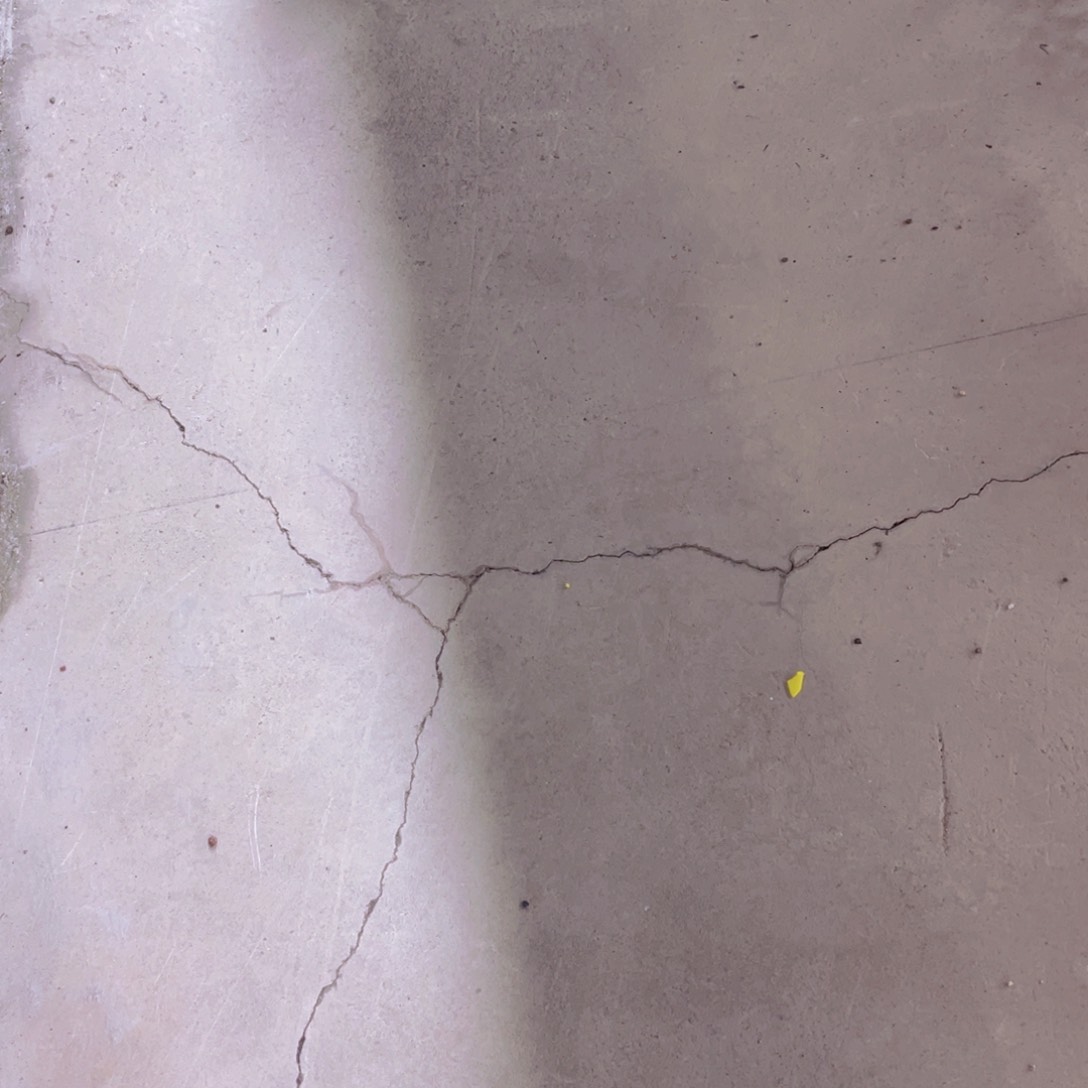 老桩心之月锦挑好的一颗