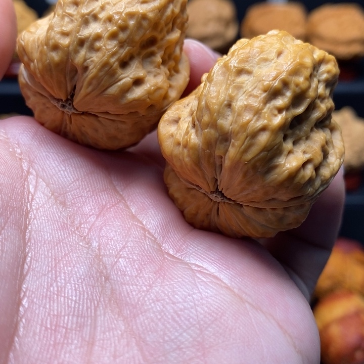 把件文玩核桃39帝王龙脊