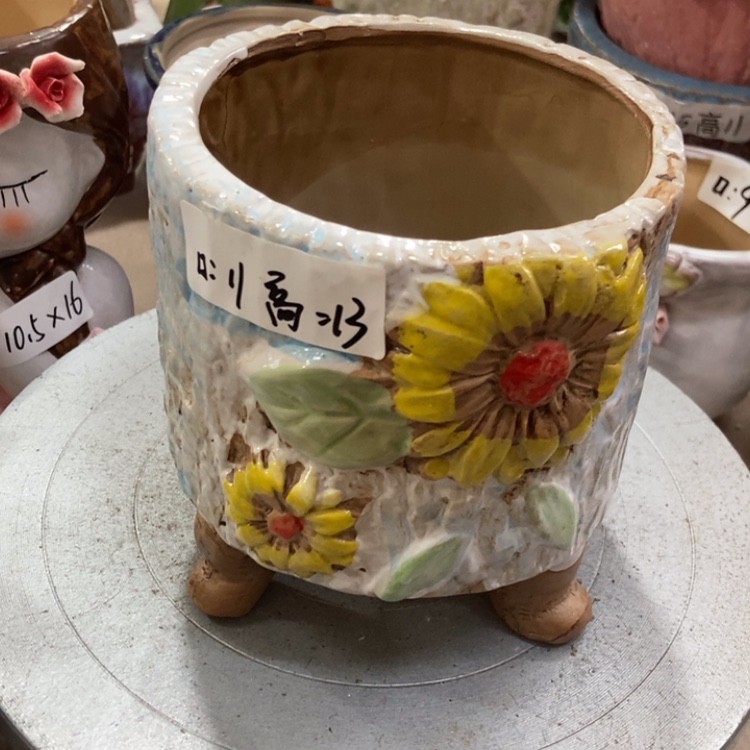 【闪购商品】福利福利福利福利