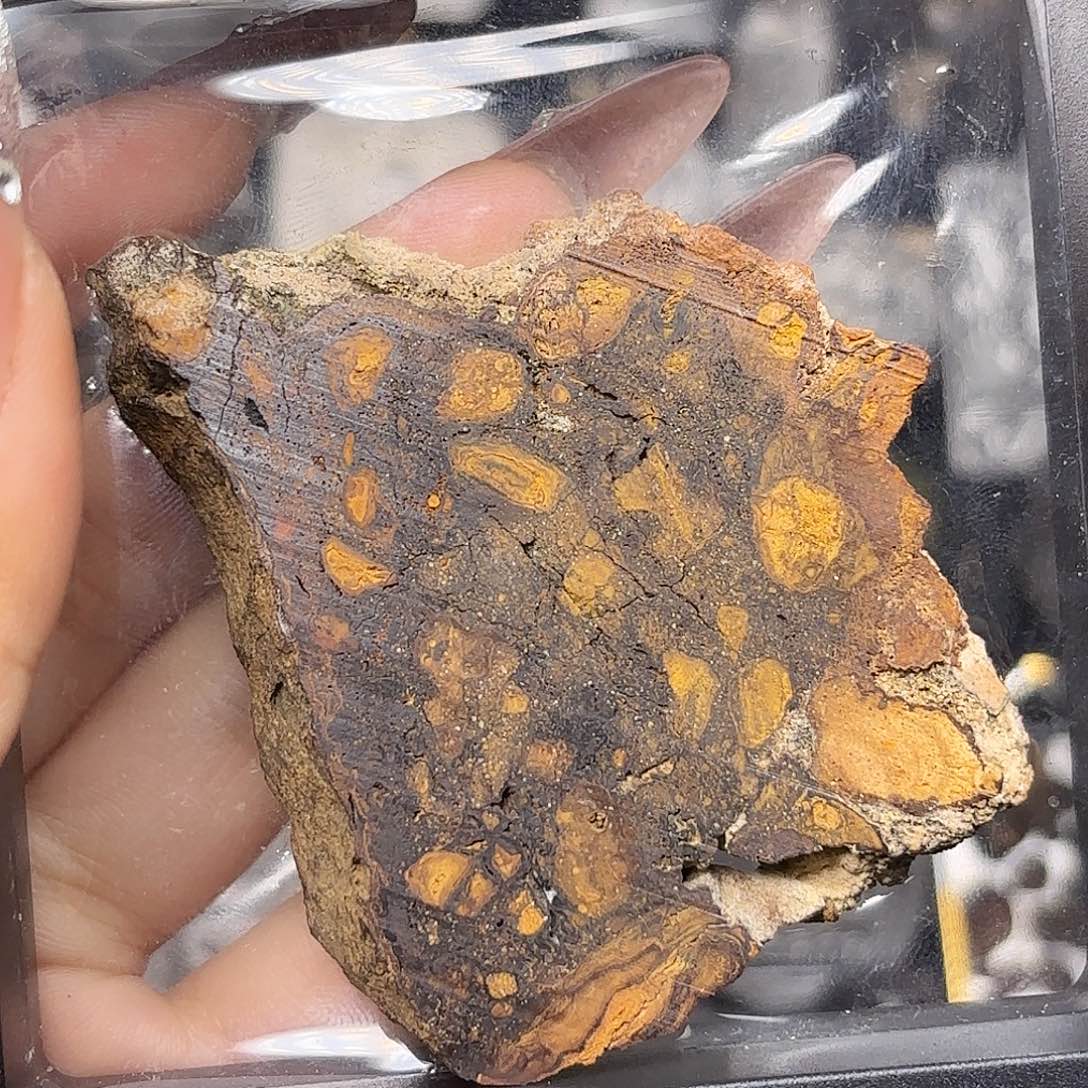 ﻩ***ﻩ铁合金顽火辉球粒陨