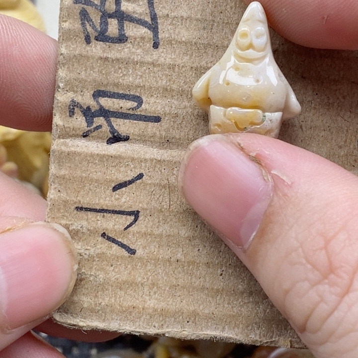 颈饰未镶嵌硅化珊瑚（珊瑚玉）用****1