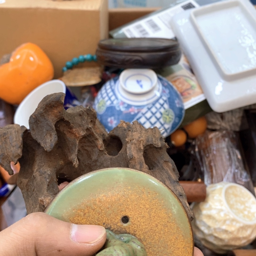 瓷片哈哈哈哈太喜欢我