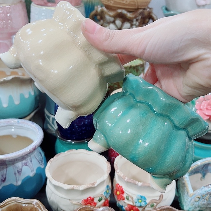 多肉花盆满10元包邮