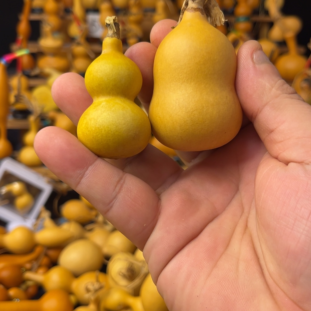 你在哪呢你现在干吗