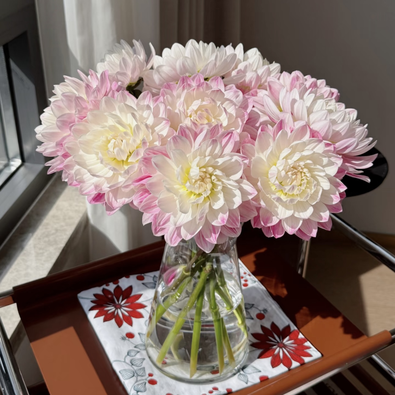 【杨鹏鲜花】凯尔盖安 鲜切大丽花 云南鲜花包邮