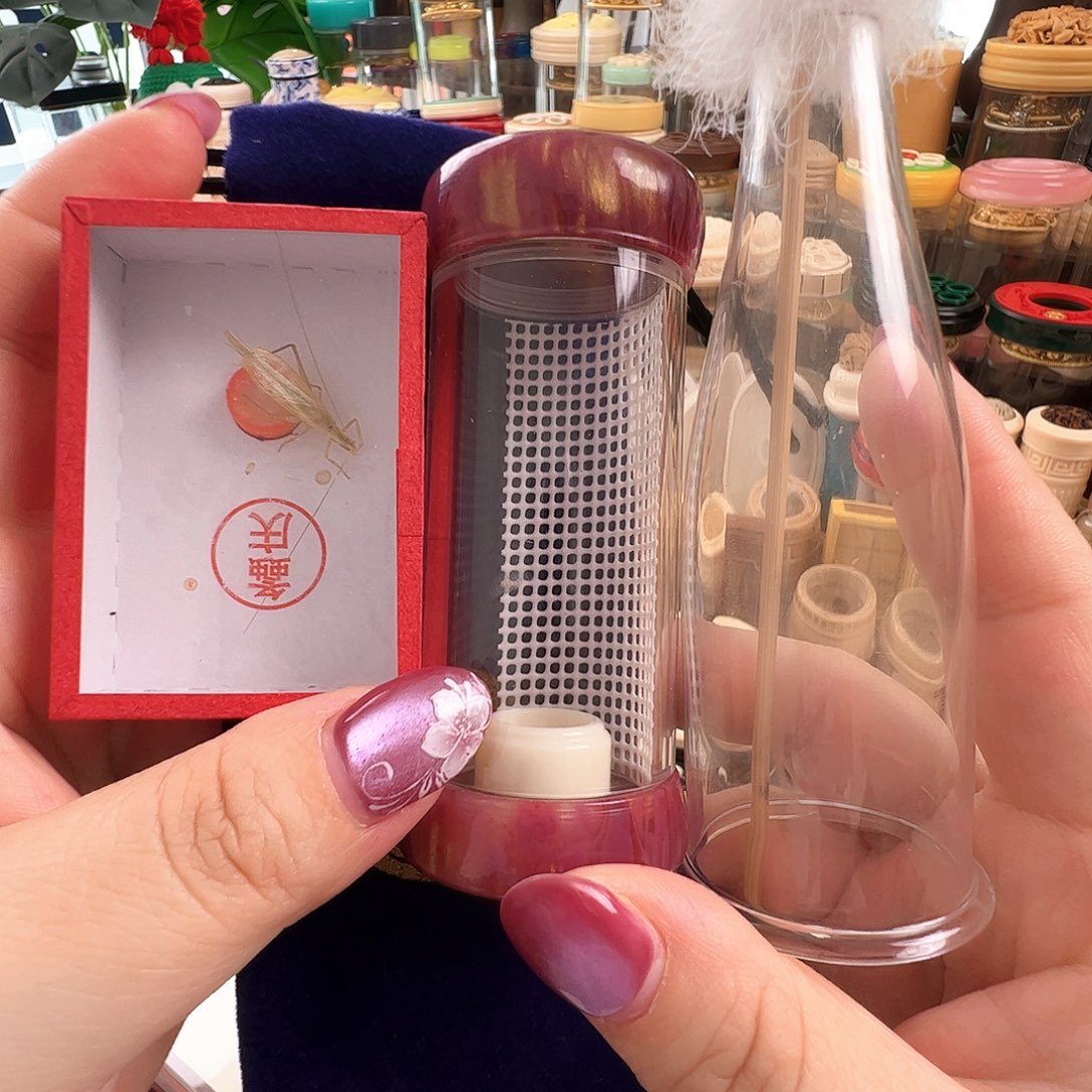 哈哈哈哈哈竹铃套装