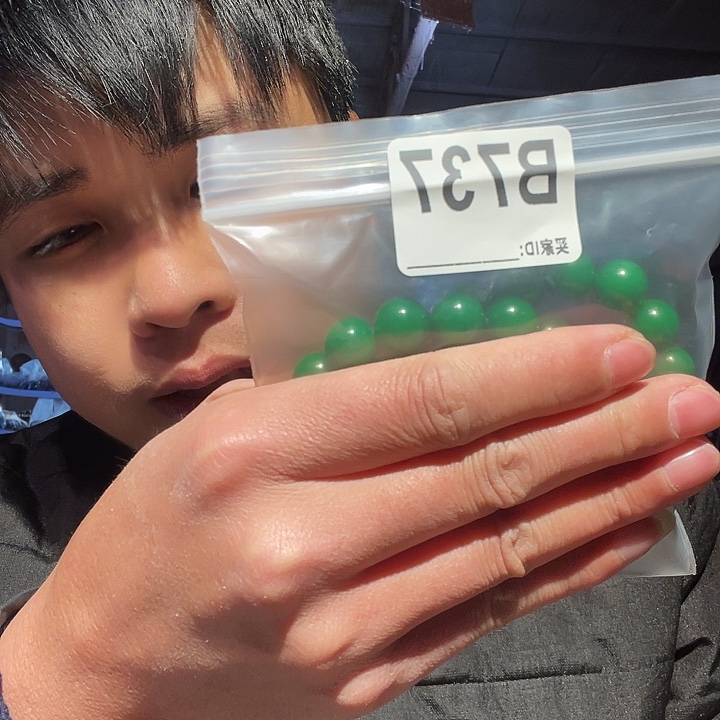 大果紫檀（缅甸花梨）737