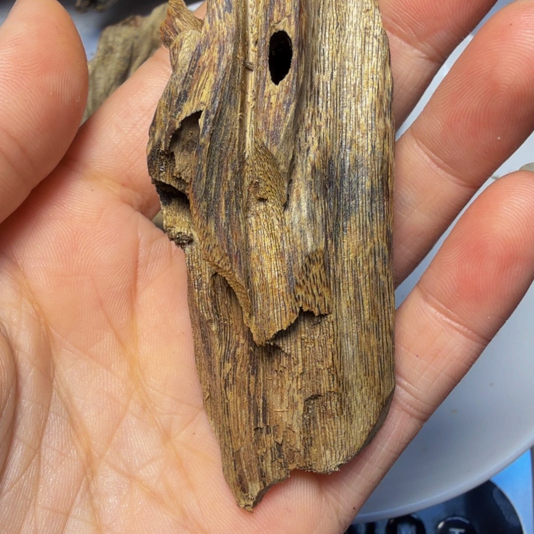 线香20.7克陆河熟结虫漏