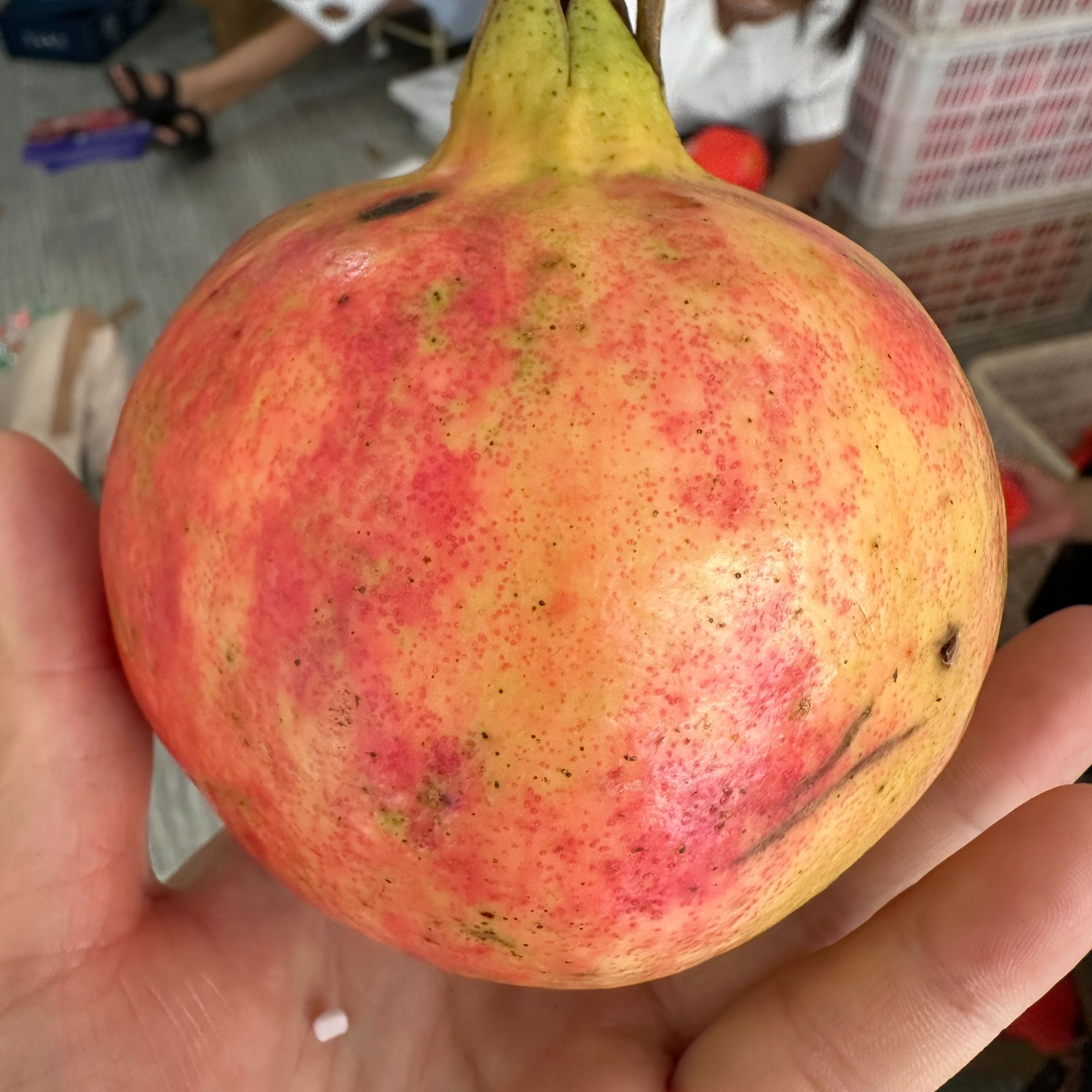 大凉山会理软籽石榴，新鲜采摘发货（实惠装）