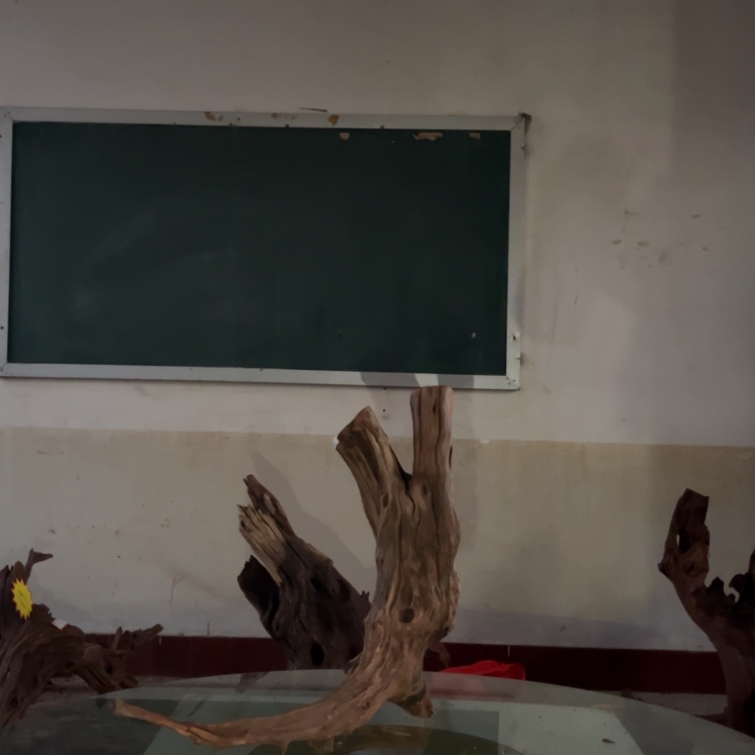 香榧木不*鱼缸造景家居摆件