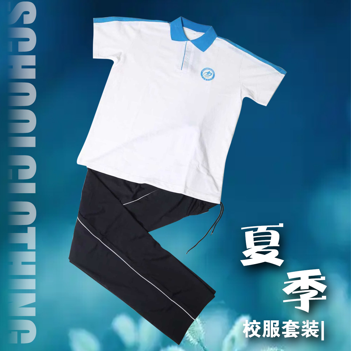 武邑宏达本部新高一夏款透气休闲翻领校服套装