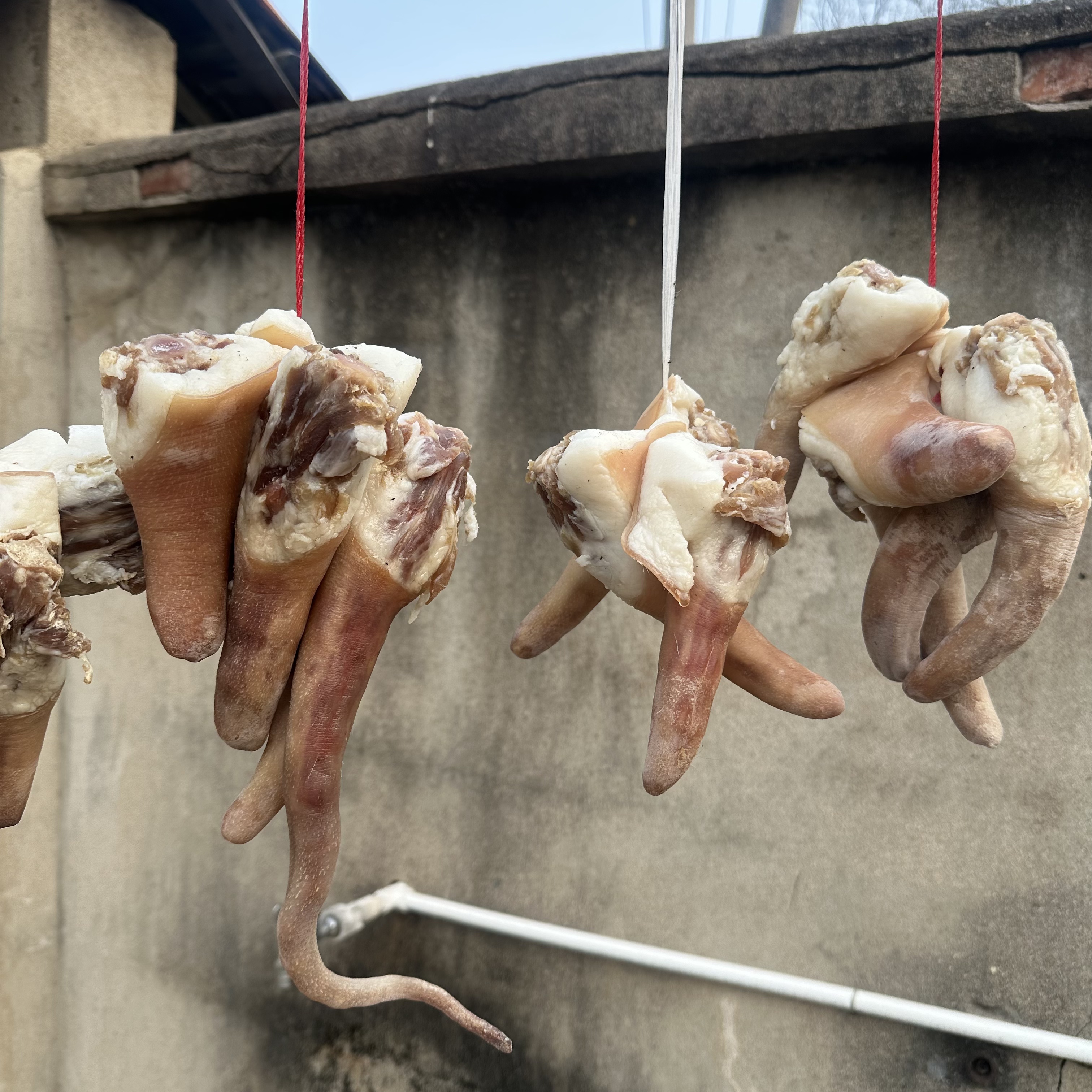 咸猪尾巴农家腊味
