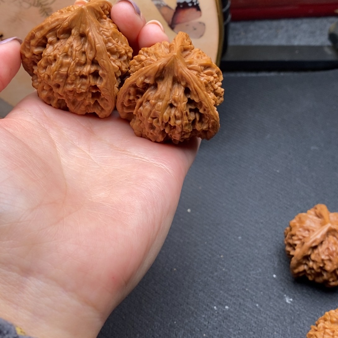 用****1白狮子1111111111