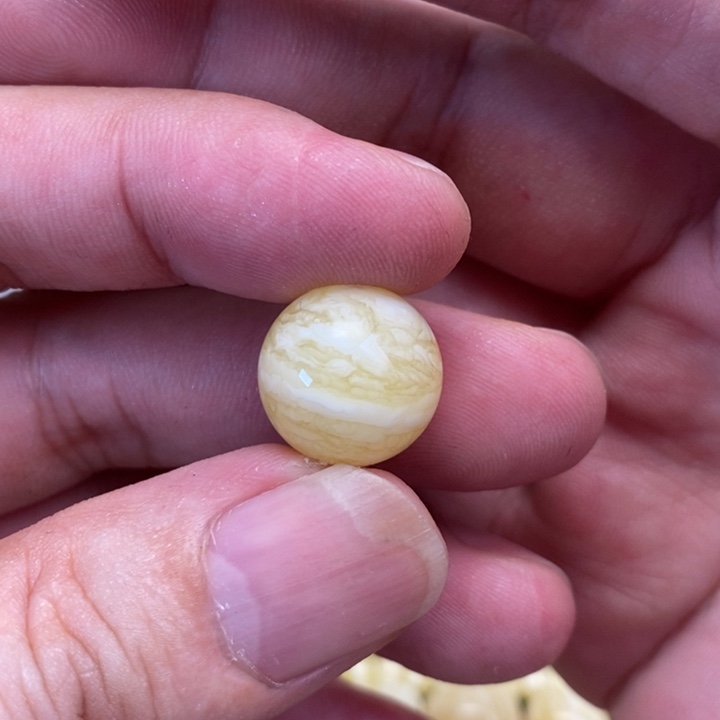 未镶嵌蜜蜡裸石小**豆