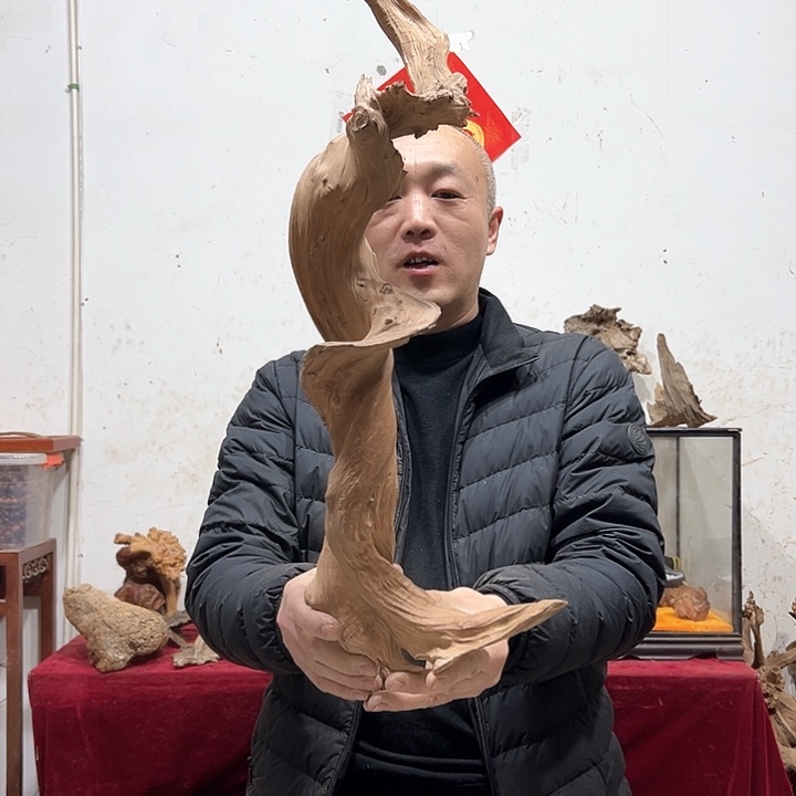 柏木同*我们的生活也是如此