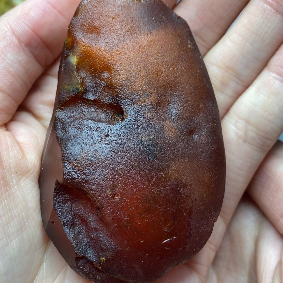 定制琥珀未镶嵌陈