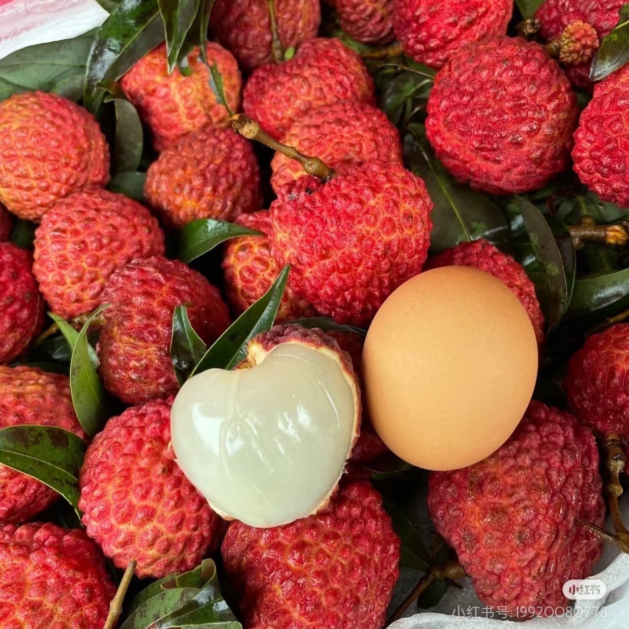 荔枝王 500克荔枝同城送