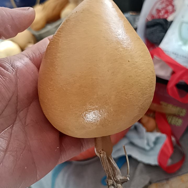 葫芦葫芦葫芦葫芦葫芦