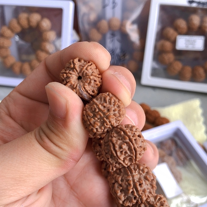 金刚菩提吊坠原生态七瓣一号