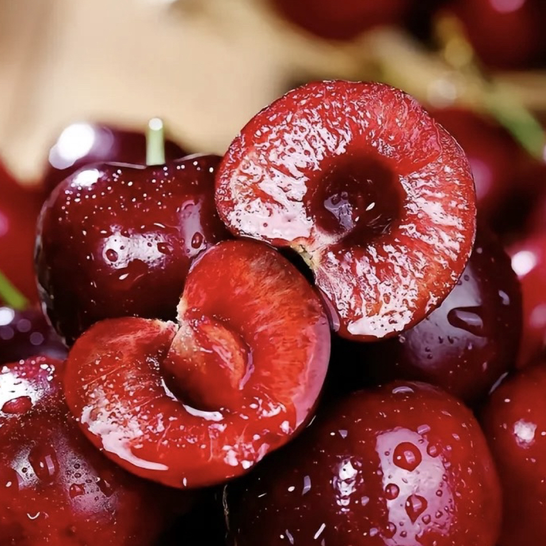 智利车厘子桑缇娜3J海运G桑提娜智利