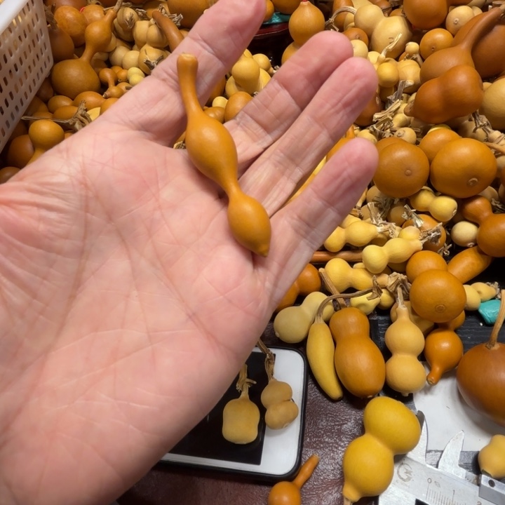 b****r英文的一把蚂蚁葫芦英文