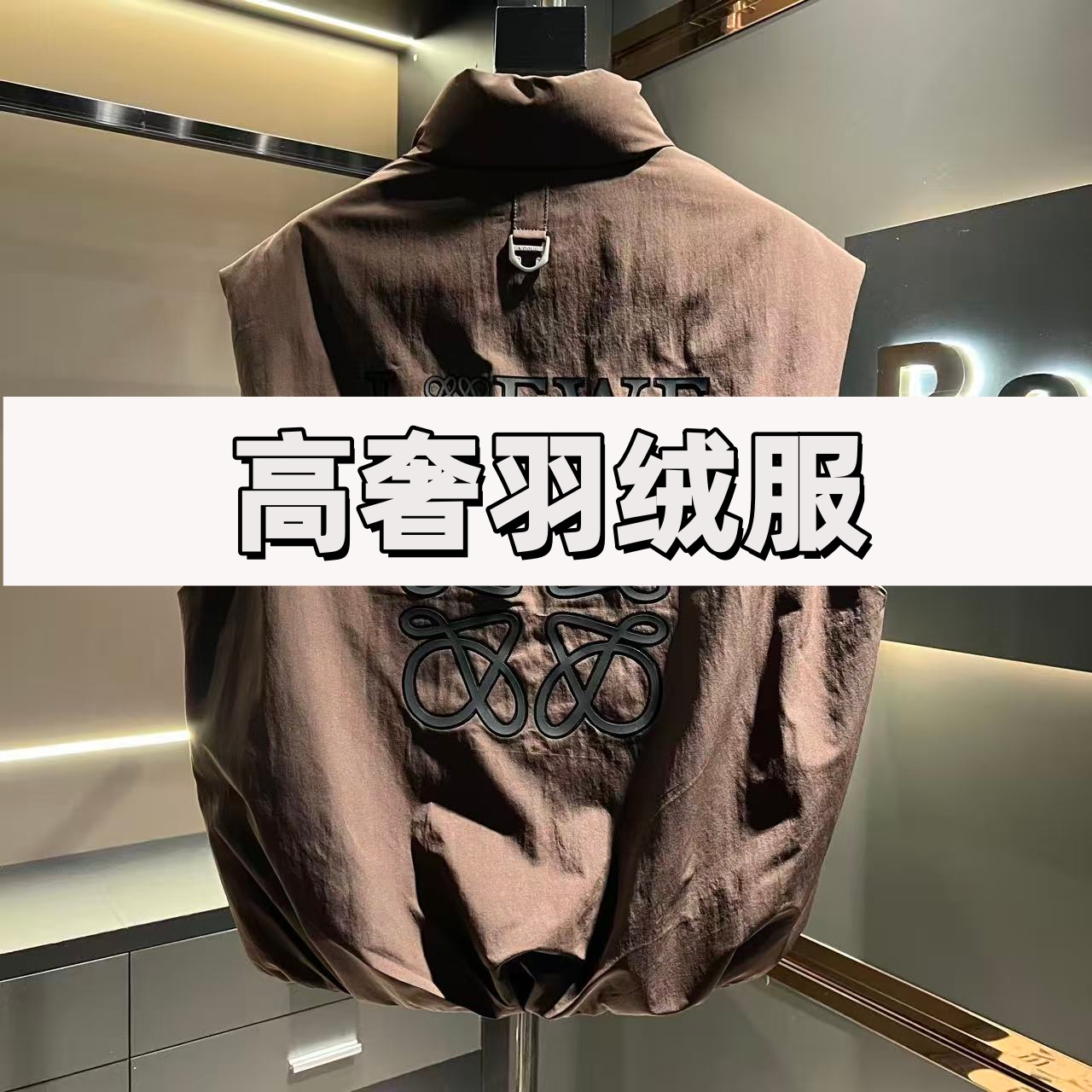 【Day】秋冬羽绒系列男女同款白鸭绒立领羽绒马甲-88001