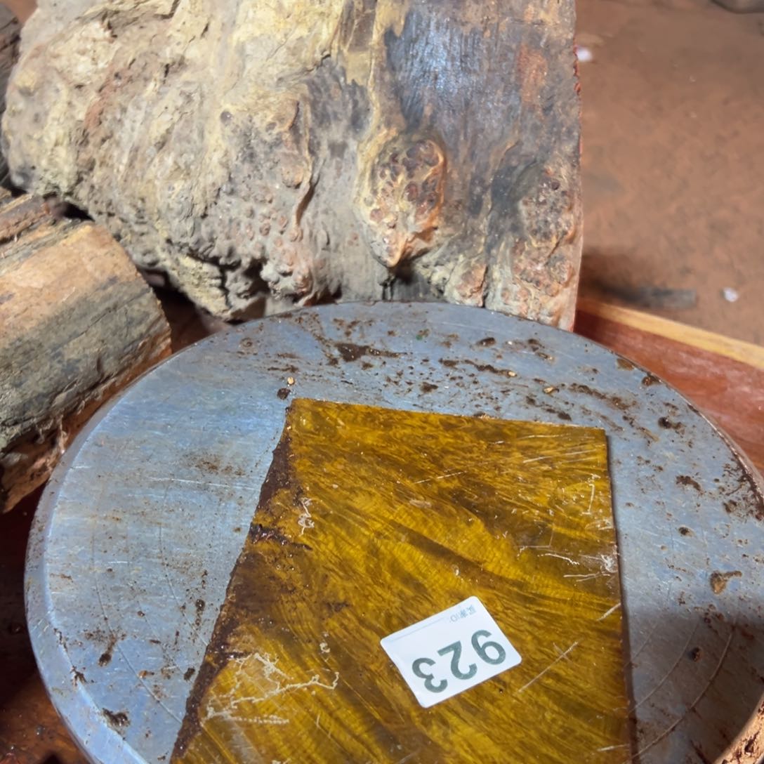 大果紫檀（缅甸花梨）