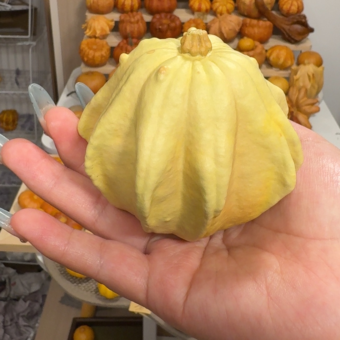 奶油色飞翅大白菜