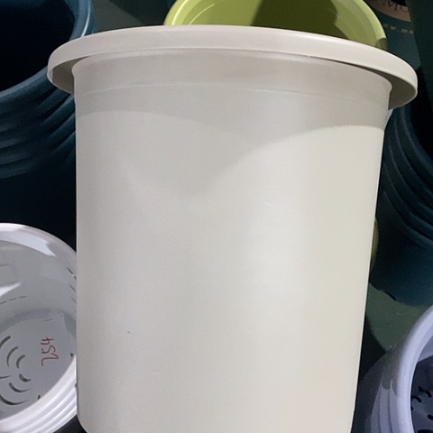 树脂四季8号微瑕灰白无托5个