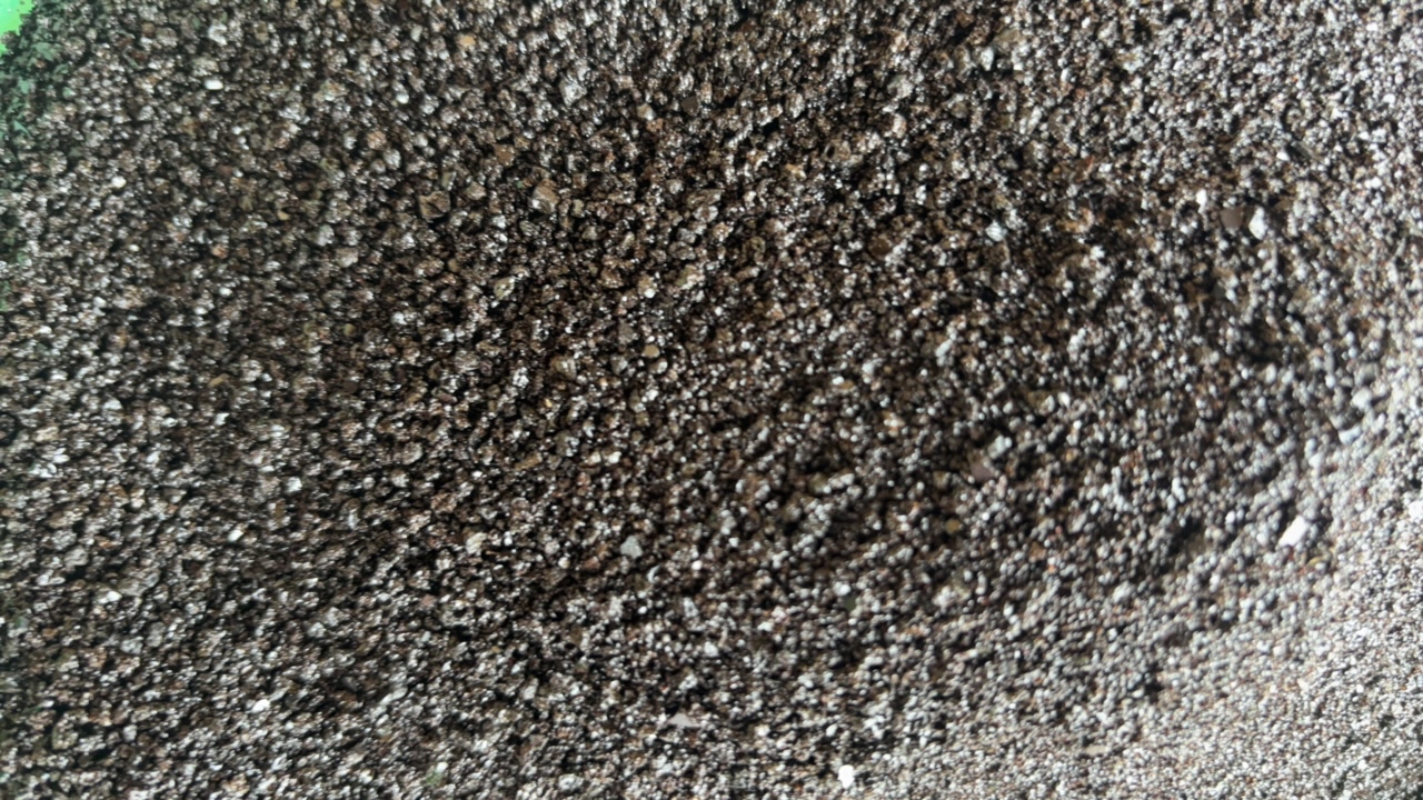 阿静精选，【黑金粉干】