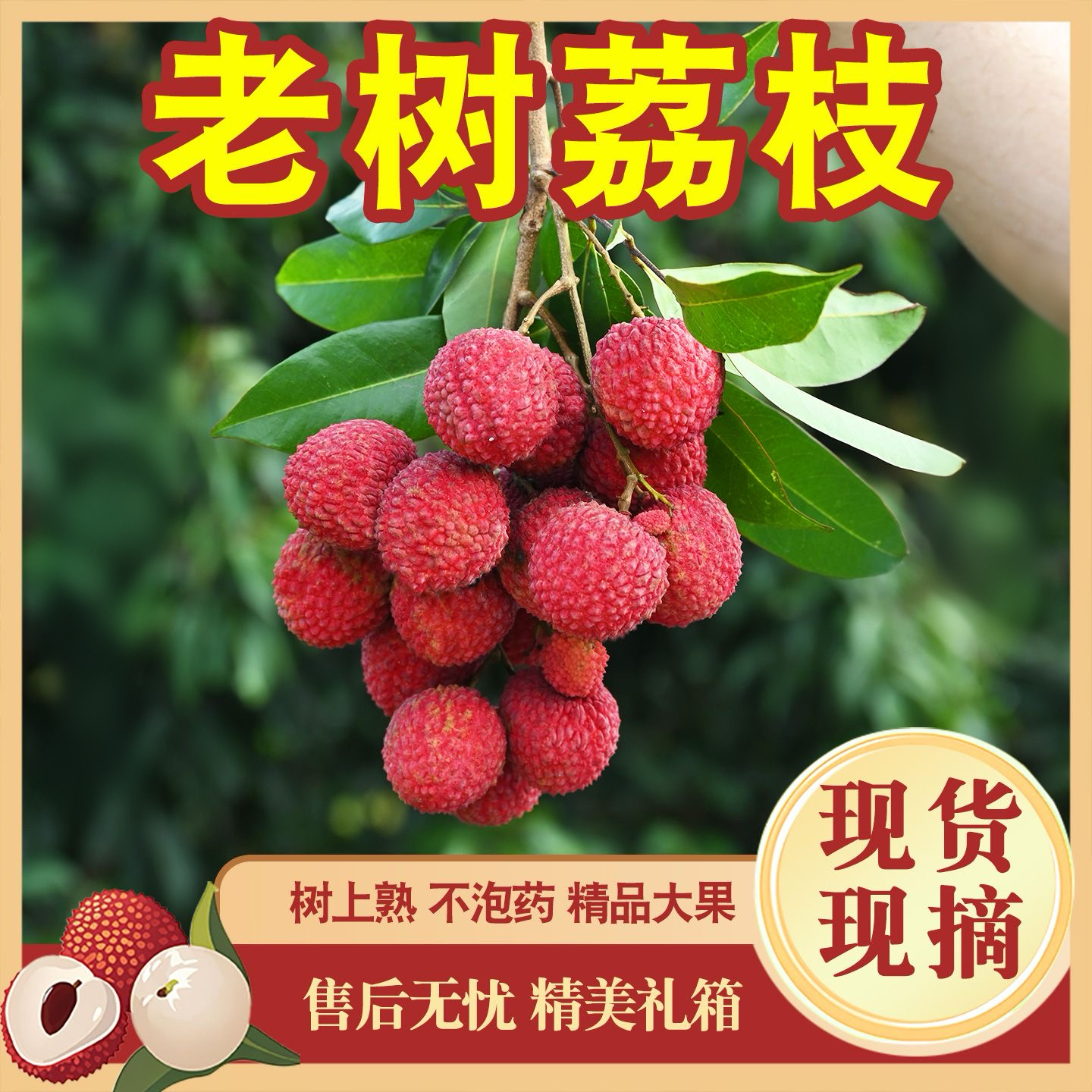 【广东专拍-增城荔枝】桂味-糯米糍-仙进奉鲜果现摘新鲜3/5/10斤