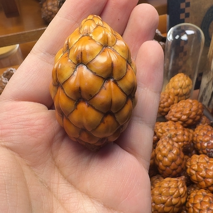 「***丁有机玻璃丁丁哥专拍单颗288粉酒椰