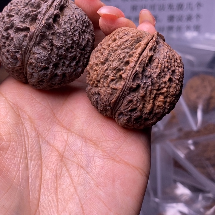 核桃云南野生铁核桃131号40mm