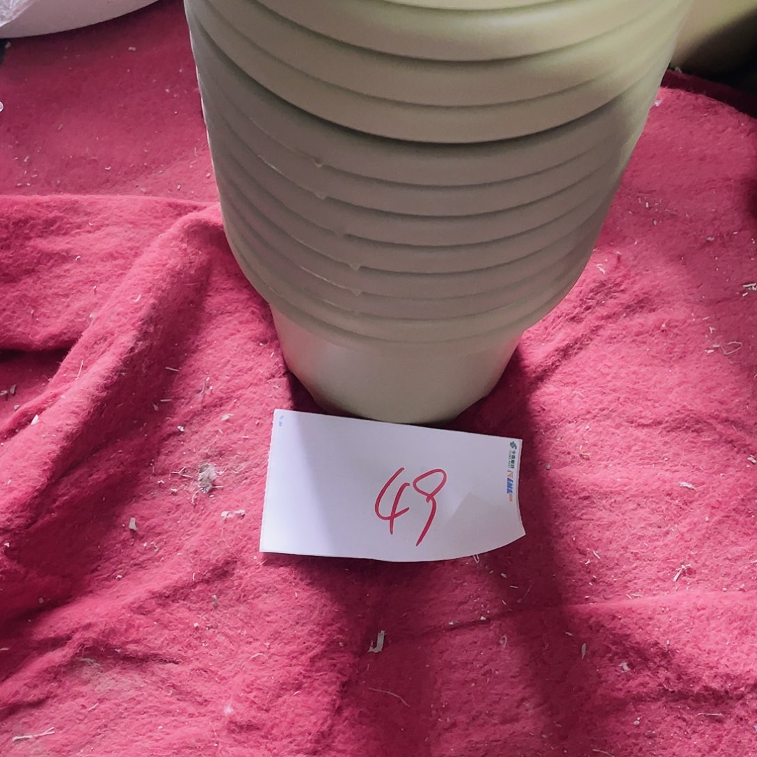 编号49编号49编号49